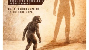 Immagine “From Toumaï to Sapiens” at Monaco’s Prehistoric Anthropology Museum: an immersive journey into human origins