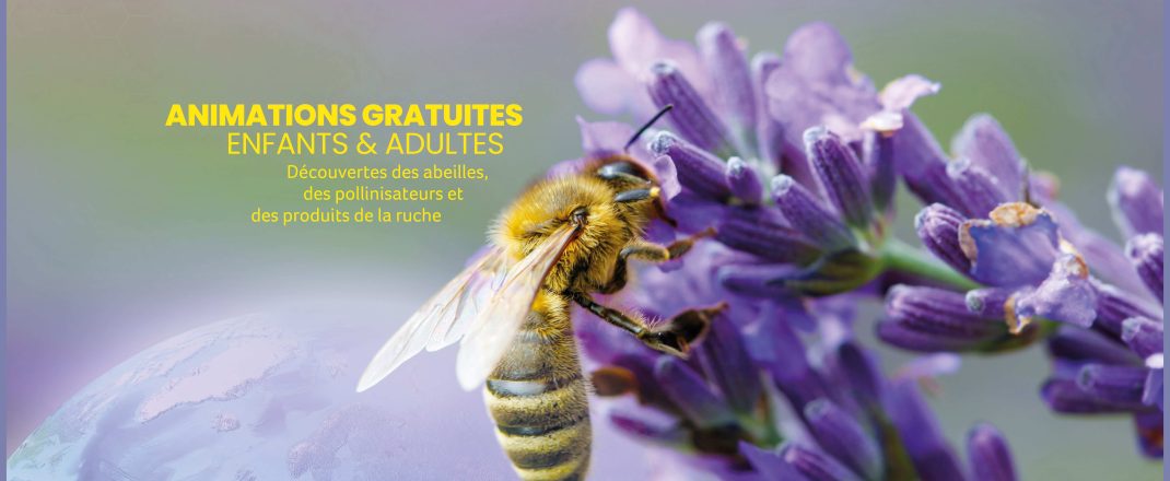 Immagine APIdays 2025 a Monaco: due giornate dedicate alle api, sentinelle dell’ambiente