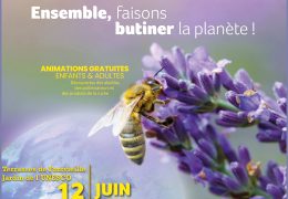 Immagine APIdays 2025 a Monaco: due giornate dedicate alle api, sentinelle dell’ambiente