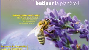 Immagine APIdays 2025 in Monaco: Two Days Dedicated to Bees, the Sentinels of the Environment