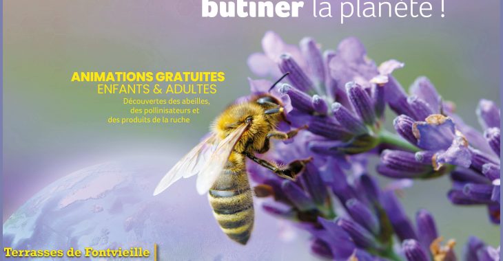Immagine APIdays 2025 a Monaco: due giornate dedicate alle api, sentinelle dell’ambiente