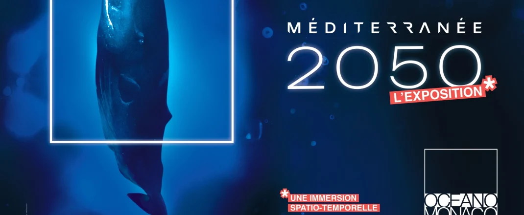 Immagine Musée océanographique de Monaco: estate 2026 tra “Méditerranée 2050”, realtà virtuale e la mostra di Greg Lecoeur
