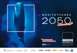 Immagine Musée océanographique de Monaco: estate 2026 tra “Méditerranée 2050”, realtà virtuale e la mostra di Greg Lecoeur