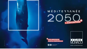 Immagine Oceanographic Museum of Monaco: Summer 2026 with “Mediterranean 2050”, Virtual Reality Experiences and Greg Lecoeur’s Photography Exhibition