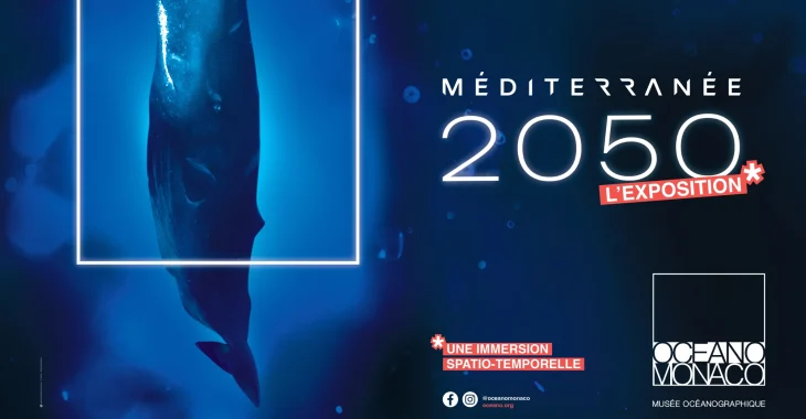 Immagine Musée océanographique de Monaco: estate 2026 tra “Méditerranée 2050”, realtà virtuale e la mostra di Greg Lecoeur