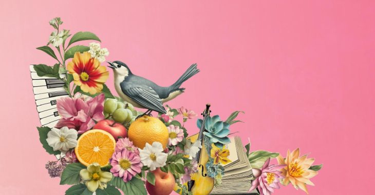 Immagine Summer 2026 in the Alpes-Maritimes: More Than 450 Free Events Between the French Riviera, Hilltop Villages and Mountains