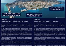 Immagine AMPN Exhibition at Le Méridien Beach Plaza Monaco: 50 Years of Marine Conservation in a Photographic Journey