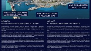 Immagine AMPN Exhibition at Le Méridien Beach Plaza Monaco: 50 Years of Marine Conservation in a Photographic Journey