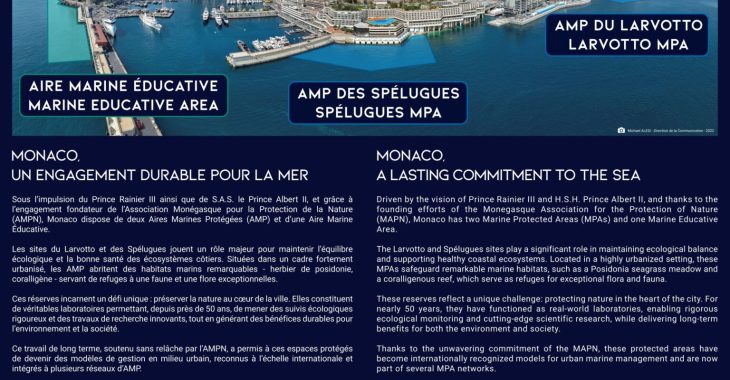 Immagine AMPN Exhibition at Le Méridien Beach Plaza Monaco: 50 Years of Marine Conservation in a Photographic Journey Immagine AMPN Exhibition at Le Méridien Beach Plaza Monaco: 50 Years of Marine Conservation in a Photographic Journey