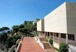 Immagine Le Musée d’Anthropologie Préhistorique de Monaco lance un appel à candidatures pour une bourse de doctorat de trois ans