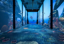 Immagine Musei aperti a Monaco ad agosto 2026: cosa visitare nel Principato