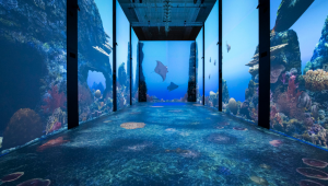 Immagine Musei aperti a Monaco ad agosto 2026: cosa visitare nel Principato