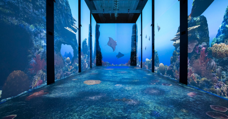 Immagine Musei aperti a Monaco ad agosto 2026: cosa visitare nel Principato