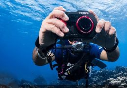Immagine 21e Concours National de Photographie Sous-Marine de Monaco: les plus belles images des fonds méditerranéens récompensées