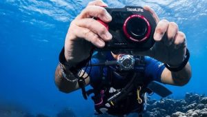 Immagine 21st Monaco National Underwater Photography Competition: the Best Mediterranean Underwater Images Awarded