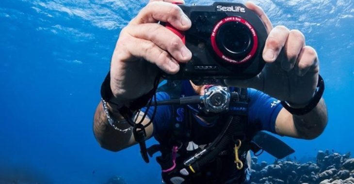 Immagine 21e Concours National de Photographie Sous-Marine de Monaco: les plus belles images des fonds méditerranéens récompensées