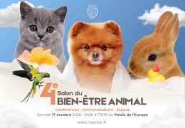 Immagine Salon du bien-être animal 2026 à Menton: le programme du 17 octobre