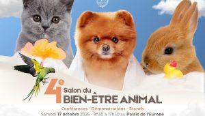 Immagine Salone del benessere animale 2026 a Mentone: il programma del 17 ottobre