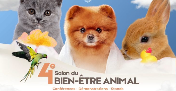 Immagine Salon du bien-être animal 2026 à Menton: le programme du 17 octobre