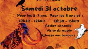 Immagine Halloween 2026 in Monaco: Children’s Workshops and After-Dark Museum Tours